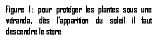 Zone de Texte: Figure 1 : pour protger les plantes sous une vranda, ds lapparition du soleil il faut descendre le store

